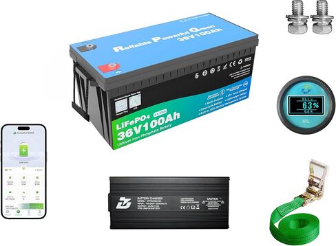 48 Volt 100Ah Lithium Golf Cart Battery, 48V LiFePO4 Battery with 10A Charger, Gauge, 200A BMS, 4000+ Cycles, 4.8 kWh Energy, Perfect for Golf Cart, RV, Marine, Lawn Mower in Saudi Arabia