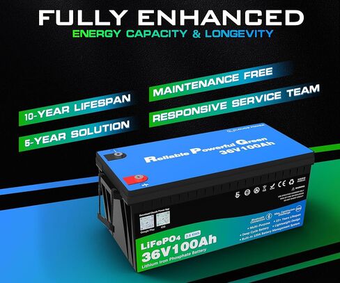 48 Volt 100Ah Lithium Golf Cart Battery, 48V LiFePO4 Battery with 10A Charger, Gauge, 200A BMS, 4000+ Cycles, 4.8 kWh Energy, Perfect for Golf Cart, RV, Marine, Lawn Mower in Saudi Arabia