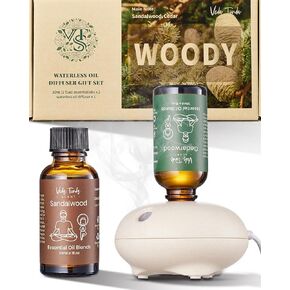 VTS Hotel Scent Essential Oils with Waterless Oil Diffuser, Luxury Hotel Collection Diffuser Oil Gift Set for Women Mom Couples Friend (1 fl.oz Citrus Hotel Scented Oil x 2 & Portable Diffuser)