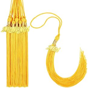 18 Pieces 2025 Graduation Tassel Charm for Graduation Cap Academic Hat Tassels with 2025 Year Gold Date Pendants Memorial for Ceremonies Parties(Silver)