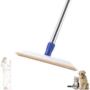 ANLIZY Carpet Rake for Pet Hair Removal - 60" Long Handle Pet Hair Remover for Carpet, Reusable Dog Cat Hair Fur Scraper Brush Broom, Metal Lint Remover Tool for Fluff Carpet, Rug, Car Mat and Couch