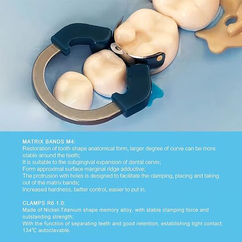 Dental Matrix Ring Set, Dental Sectional Contoured Matrix Bands Nickel Titanium Clamping Clip Ring Dental Separation Ring Dentist Tools (C2) in Saudi Arabia