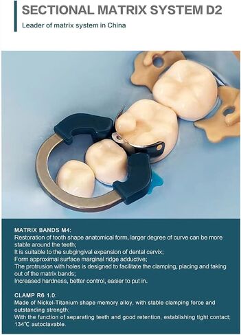Dental Matrix Ring Set, Dental Sectional Contoured Matrix Bands Nickel Titanium Clamping Clip Ring Dental Separation Ring Dentist Tools (C2) in Saudi Arabia