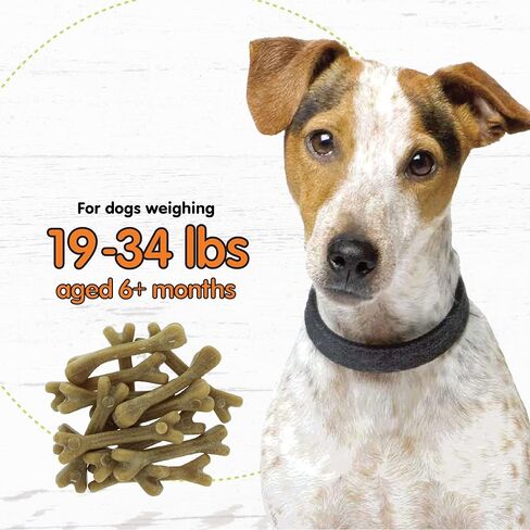 عظام رعاية الأسنان الفائقة للكلاب - 8 تعامل لكل حزمة (3 عبوات) - علاج الأسنان الكلب للكلاب المتوسطة (مصنوعة في الولايات المتحدة الأمريكية) - يمضغ الكلاب الأسنان في تقليل البلاك ، تراكم التارت ، وتنفس الطالب. in Kuwait