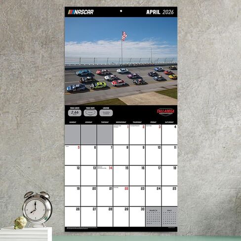 TF PUBLISHING 2025 Dream Cars Wall Calendar | Large Grids for Appointments and Scheduling | Vertical Monthly Wall Calendar 2025 | Home and Office Organization | Premium Gloss Paper | 12"x12" in Saudi Arabia