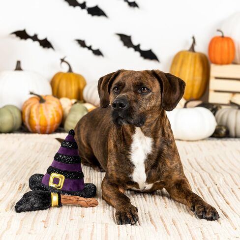 Fringe Studio Small Plush Dog Toy Set, Let's FANG Out, 3 Piece Set, PetShop Collection (662070) in Saudi Arabia