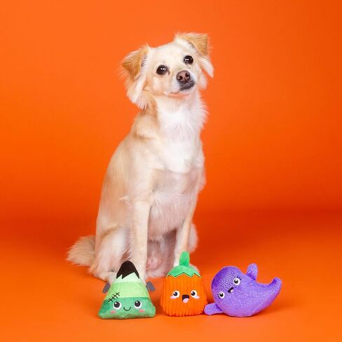 Fringe Studio Small Plush Dog Toy Set, Let's FANG Out, 3 Piece Set, PetShop Collection (662070) in Saudi Arabia