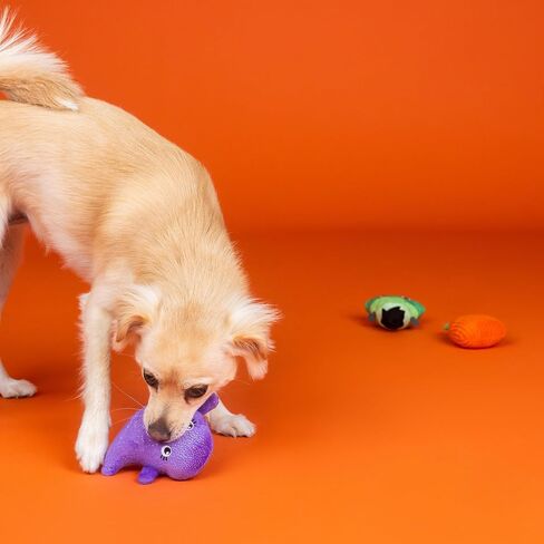 Fringe Studio Small Plush Dog Toy Set, Let's FANG Out, 3 Piece Set, PetShop Collection (662070) in Saudi Arabia