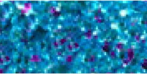 DecoArt Deco Art Galaxy Glitter, 59ml, Silver (Pack of 2) in Saudi Arabia
