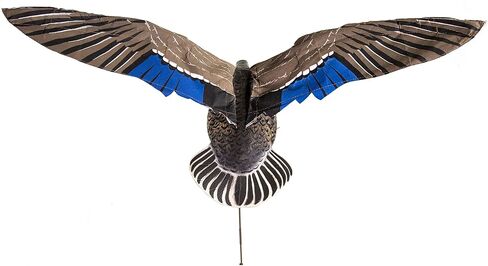 Higdon Outdoors Clone Blue Goose Flapping Motion Decoy with Adjustable Wing Speed in Kuwait