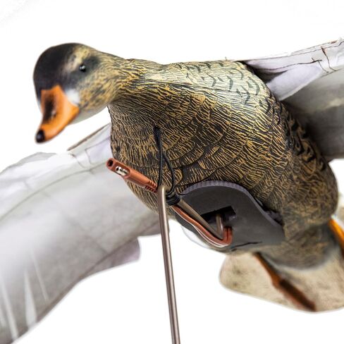 Higdon Outdoors Clone Blue Goose Flapping Motion Decoy with Adjustable Wing Speed in Kuwait