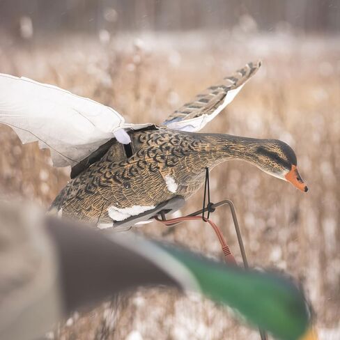 Higdon Outdoors Clone Blue Goose Flapping Motion Decoy with Adjustable Wing Speed in Kuwait