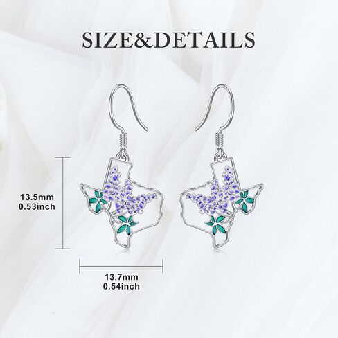 Texas Earrings 925 Sterling Silver Texas State Map Flag Dangle Earrings Hometown Bluebonnets Jewelry Texas Gifts for Women Love TX in Saudi Arabia