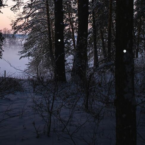 50 pcs Reflective Tacks for Trail Marking, Reflective Trail Markers Reflective Thumb Tacks Glow in The Dark Tacks for Hunting Hiking Camping Outdoor Survival with Clear Box (Mixed Crackle Colors) in Kuwait