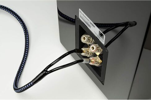 SVS SoundPath Ultra Bi-Wire Speaker Cable with Spade Connectors (10 feet) in Saudi Arabia