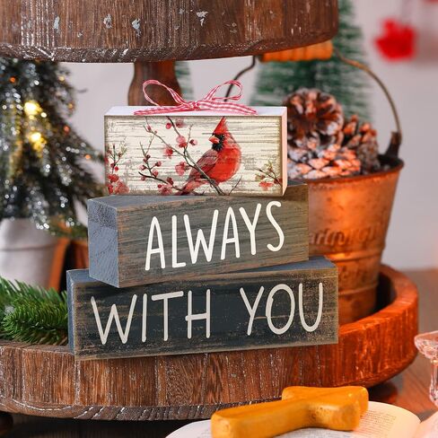 4 Pcs Bible Verse Wooden Sign Inspirational Christian Table Decor Cardinal Bird Rustic Farmhouse Trust Block Sign Gifts for Pastor Christian Mother Day Decor(White,Pray) in Saudi Arabia