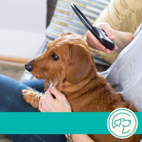 Bundle - 5 in. Anxiety Treatment Device for Dogs with Convenience Vest (XS) in Saudi Arabia