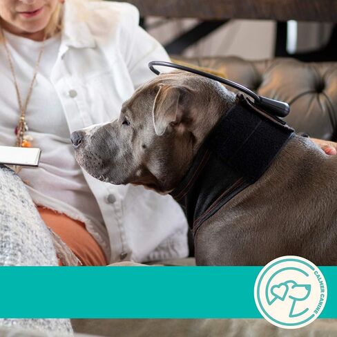 Bundle - 5 in. Anxiety Treatment Device for Dogs with Convenience Vest (XS) in Saudi Arabia