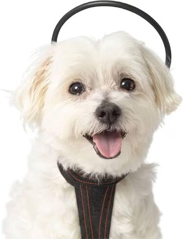 Bundle - 5 in. Anxiety Treatment Device for Dogs with Convenience Vest (XS) in Saudi Arabia
