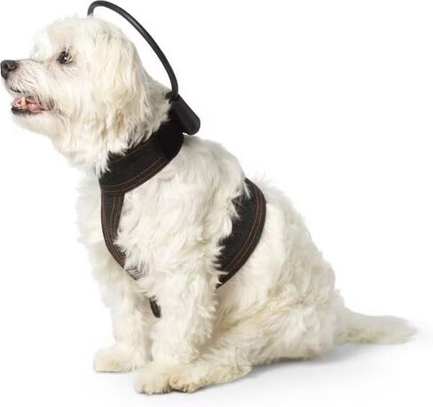 Bundle - 5 in. Anxiety Treatment Device for Dogs with Convenience Vest (XS) in Saudi Arabia