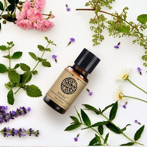 سلسلة زهرة 10x10ml مجموعة الزيوت الأساسية لافندر لافندر ياسمين روز ylang neroli frangipani لوتس peony Osmanthus piolet assental حزمة من 10 لناشر ، التدليك ، العطرية. in Kuwait