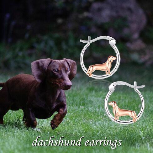 أقراط يوركي 925 Sterling Sliver Dog Hoop أقراط يوركي مجوهرات الهدايا للنساء عاشق الأم in Saudi Arabia