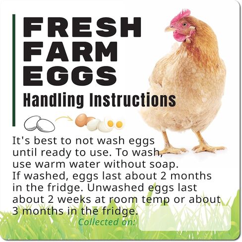 -200pcs- Premium Fresh Farm Eggs Handling Care Instructions Accessories Stickers Labels | Egg Blank Cartons 4 6 12 15 18 30 48 50 Storing Extra Organizer Basket Box Container (200)-L8 in Kuwait
