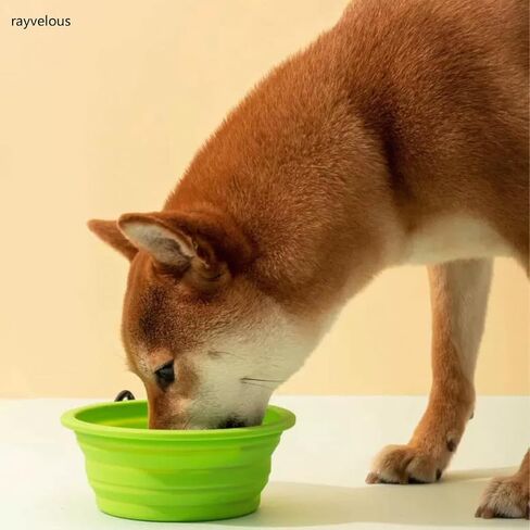 Collapsible Travel Pet Bowl with Carabiner, Portable Silicone Dog Bowl (Purple) in Saudi Arabia