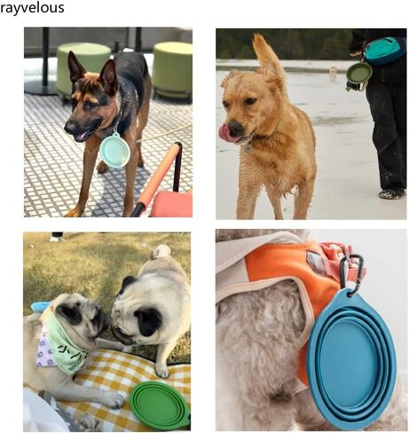 Collapsible Travel Pet Bowl with Carabiner, Portable Silicone Dog Bowl (Purple) in Saudi Arabia
