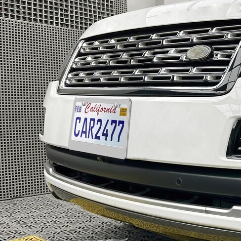 2PCS Matte Black License Plate Frames, 2 Holes Solid Rust-Proof Stainless Steel License Plate Holder, Lengnoyp Universal Car License Plate Cover for Women and Man with Screws Accessories in Kuwait