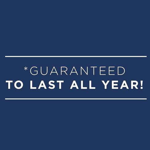 AT-A-GLANCE 2026 Planner, Weekly & Monthly, 7" x 8.75", Medium, Executive, DayMinder, Black (G5460026) in Saudi Arabia