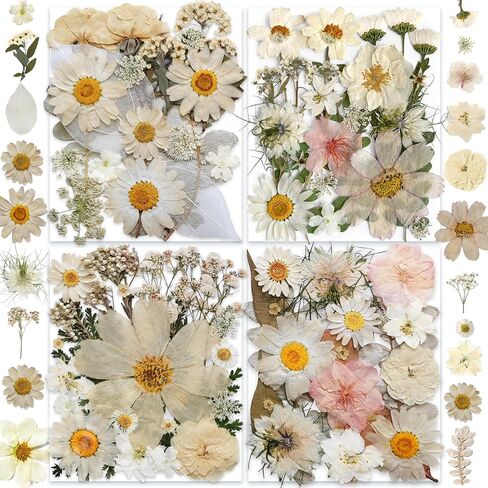 141PCS Brown Fall Dried Pressed Flowers for Resin - YouthBro Real Nature Flowers Butterfly Stikers Set for Christmas DIY Candle Soap Vase Making Nail Card Scrapbook Art Craft Floral Decors in Kuwait