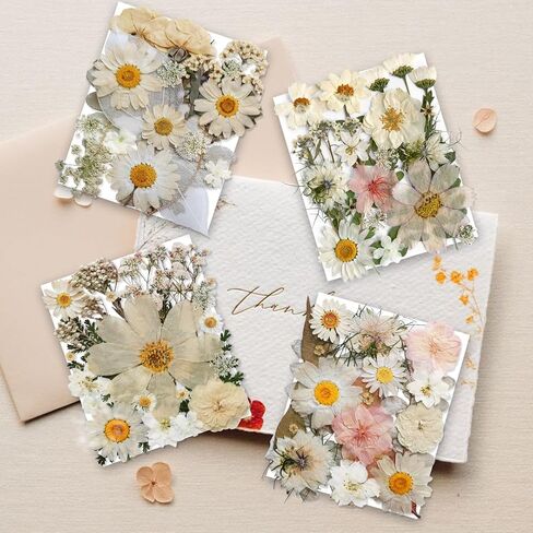 141PCS Brown Fall Dried Pressed Flowers for Resin - YouthBro Real Nature Flowers Butterfly Stikers Set for Christmas DIY Candle Soap Vase Making Nail Card Scrapbook Art Craft Floral Decors in Kuwait