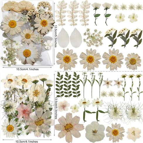 141PCS Brown Fall Dried Pressed Flowers for Resin - YouthBro Real Nature Flowers Butterfly Stikers Set for Christmas DIY Candle Soap Vase Making Nail Card Scrapbook Art Craft Floral Decors in Kuwait