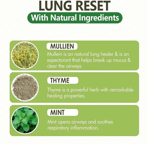 Lung Detox Mullein Diffuser Pen | Natural Mullein Leaf | Lung Health & Detox | Herbal Mullein Diffuser Pen 600 Uses in Kuwait