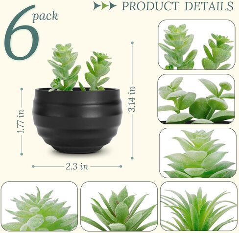 مجموعة دير روز من 6 عصارة نباتات مصطنعة في الأواني النباتات الصغيرة المزيفة لغرفة النوم الجمالية غرفة المعيشة ديكور الحمام ديكور الحمام in Kuwait