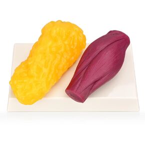 Human Body Muscle & Fat Replica 1lb with Display Base, Silicone Realistic Anatomic Muscle Tissue & Fat Model for Nutritionists, Athletes, and Medical Students.