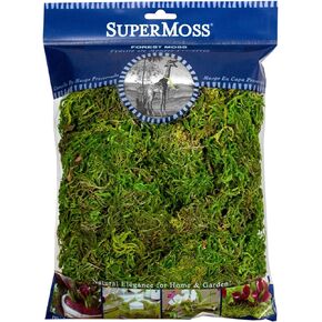 SuperMoss Forest Moss Preserved Lasting Decorative Long Fibers for Potted Plants and Crafts, Fresh Green