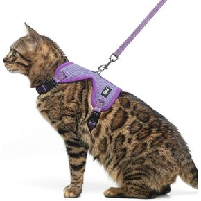 PUPTECK Cat Harness and Leash Set Escape Proof, Reflective Adjustable Soft Mesh Kitten Vest Harness for Walking Travel, Camouflage, S