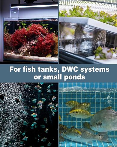 Pawfly Aquarium Hemispherical Air Stone for Air Pump Fish Tank Air Stone Disc Bubbler Round Micro Bubble Release Tool Oxygen Diffuser for Fish Tanks Buckets Small Ponds and DWC System in Saudi Arabia