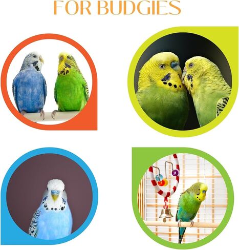 VHD MyBird Treat Stick Cracker for Budgies 10 عدد - مكافآت الطيور بنكهة العسل، العصي المقرمشة، الدخن، 10 قطع في عبوة واحدة، تتضمن الشماعة، مزيج صحي وصحيح، سهل الهضم in Kuwait