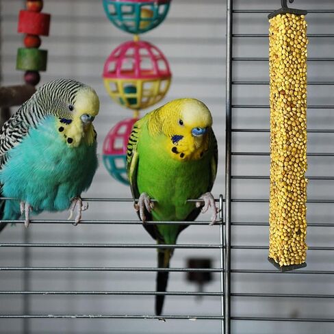 VHD MyBird Treat Stick Cracker for Budgies 10 عدد - مكافآت الطيور بنكهة العسل، العصي المقرمشة، الدخن، 10 قطع في عبوة واحدة، تتضمن الشماعة، مزيج صحي وصحيح، سهل الهضم in Kuwait
