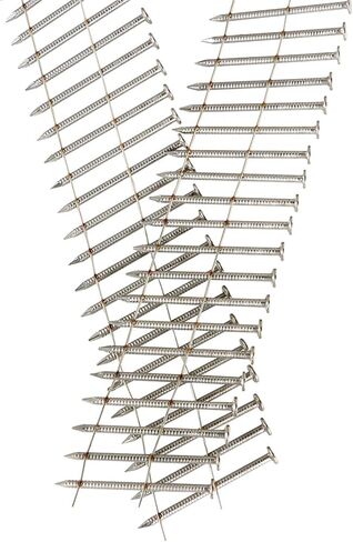 raseparter 1200 عدد 15 درجة مسامير انحياز غير قابلة للصدأ 1-3/4 بوصة × 0.09 بوصة حلقة عرقوب غطاء صغير مسمار لفائف للخشب والبلاستيك in Saudi Arabia