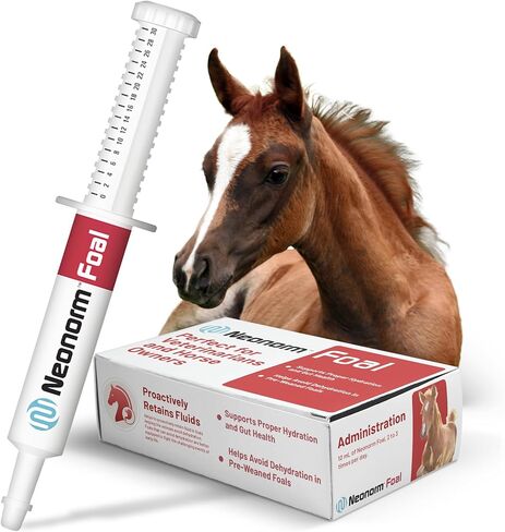 Neonorm Jaguar Animal Health Foal - Equine Supplement Paste for The Support of Proper Hydration & Bowel Health - Plant-Based Product for Pre-Weaned Foals (30 mL) in Saudi Arabia