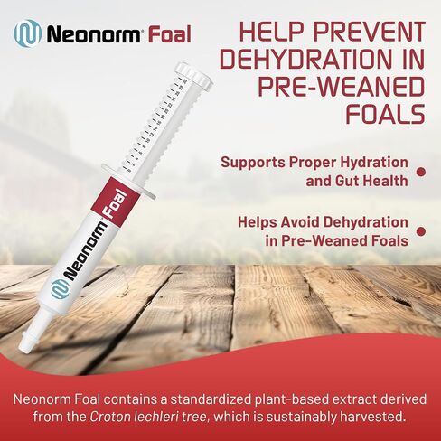 Neonorm Jaguar Animal Health Foal - Equine Supplement Paste for The Support of Proper Hydration & Bowel Health - Plant-Based Product for Pre-Weaned Foals (30 mL) in Saudi Arabia