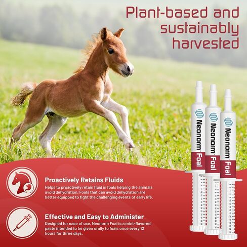 Neonorm Jaguar Animal Health Foal - Equine Supplement Paste for The Support of Proper Hydration & Bowel Health - Plant-Based Product for Pre-Weaned Foals (30 mL) in Saudi Arabia