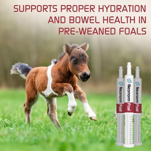 Neonorm Jaguar Animal Health Foal - Equine Supplement Paste for The Support of Proper Hydration & Bowel Health - Plant-Based Product for Pre-Weaned Foals (30 mL) in Saudi Arabia