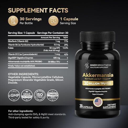 شيلاجيت غومينز للرجال والنساء-600 ملغ ، غير المعدلة وراثيا ، خالية من الغلوتين ، الهيمالايا خالية من السكر شيلاجيت ، تعزيز الطاقة ، والمناعة و Boost-60 Count in Kuwait