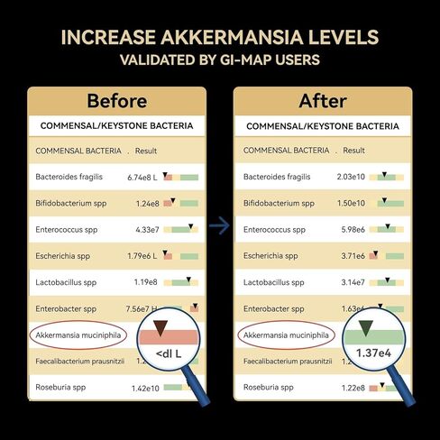 شيلاجيت غومينز للرجال والنساء-600 ملغ ، غير المعدلة وراثيا ، خالية من الغلوتين ، الهيمالايا خالية من السكر شيلاجيت ، تعزيز الطاقة ، والمناعة و Boost-60 Count in Kuwait