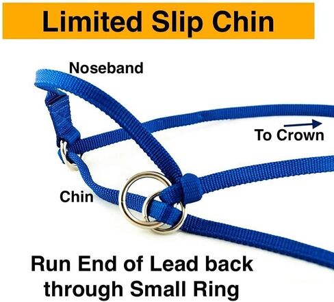 Medium Donkey Small Mule Endless Adjustable Halter & Lead USA (Purple) in Saudi Arabia